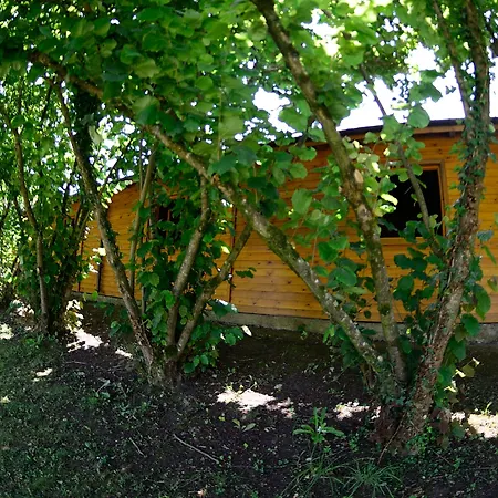 El Mazo Rada (Cantabria)