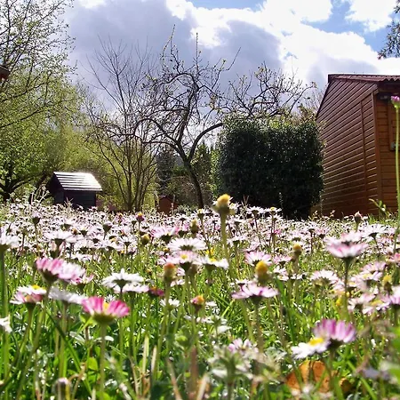 Hostel El Mazo Rada (Cantabria)