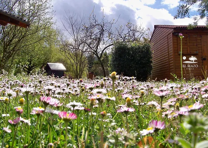 Hostel El Mazo Rada (Cantabria)
